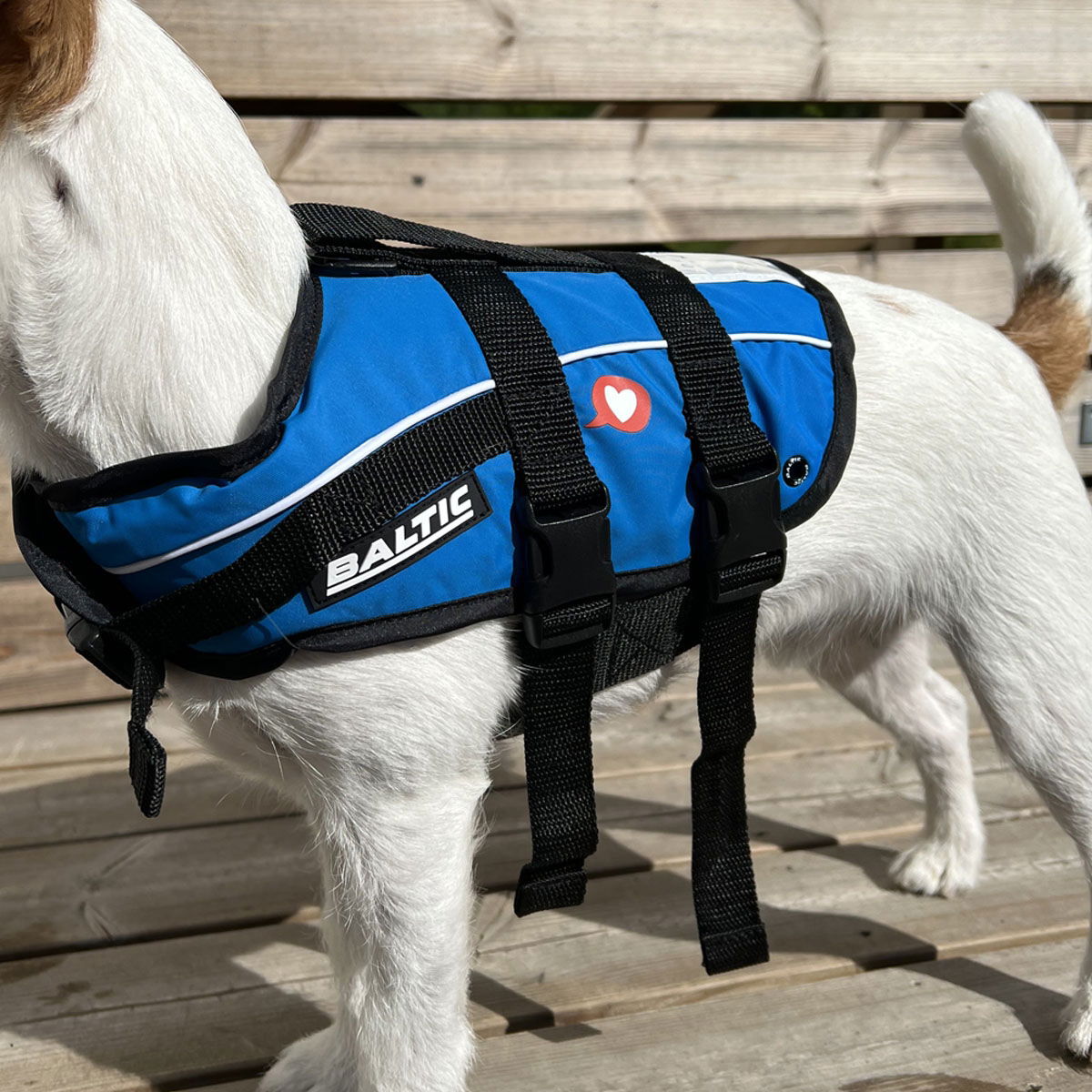 Baltic Vetzoo Life Vest Dog Blue