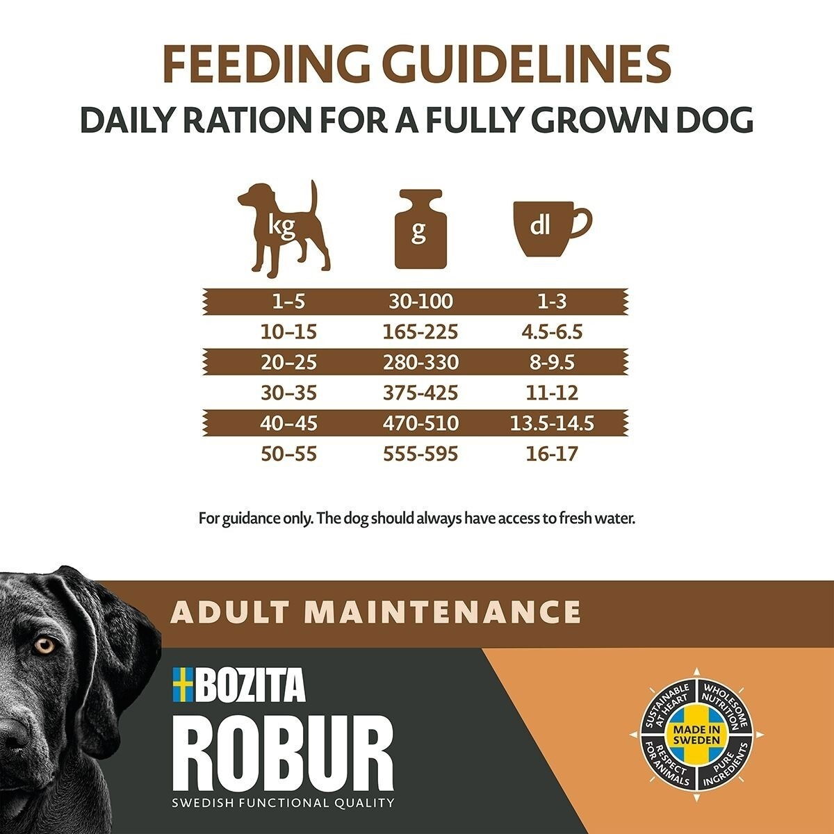 Robur Adult Maintenance