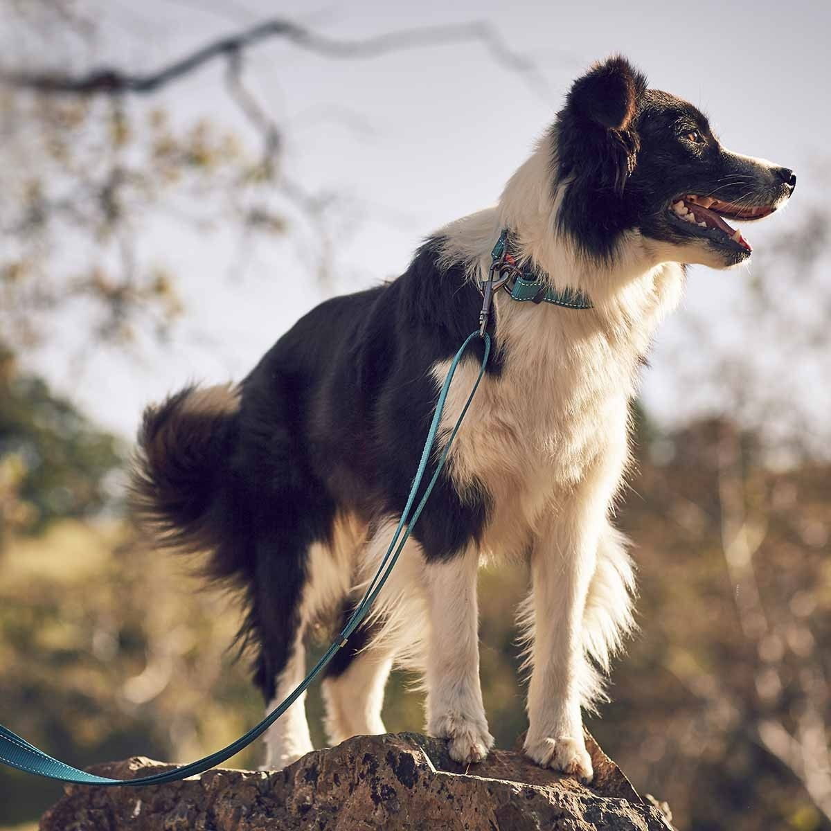 Rukka Bliss Polar -talutin turkoosi