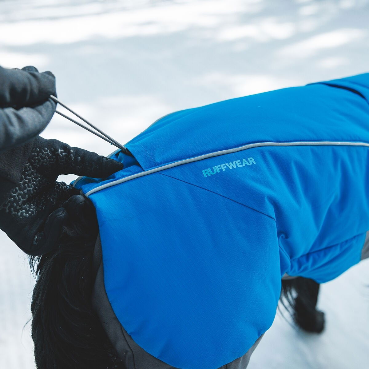 Ruffwear Vert Coverall Blue Pool