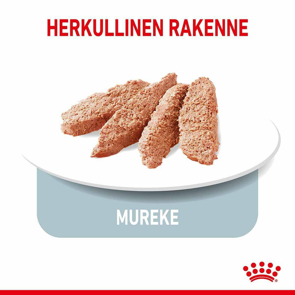 Royal Canin Light Weight Care Adult Loaf koiran märkäruoka