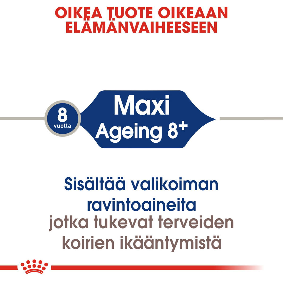 Royal Canin Maxi Ageing 8+ koiran kuivaruoka