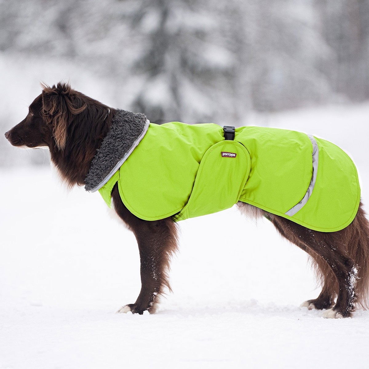 Pomppa Toppa winter jacket, Lime