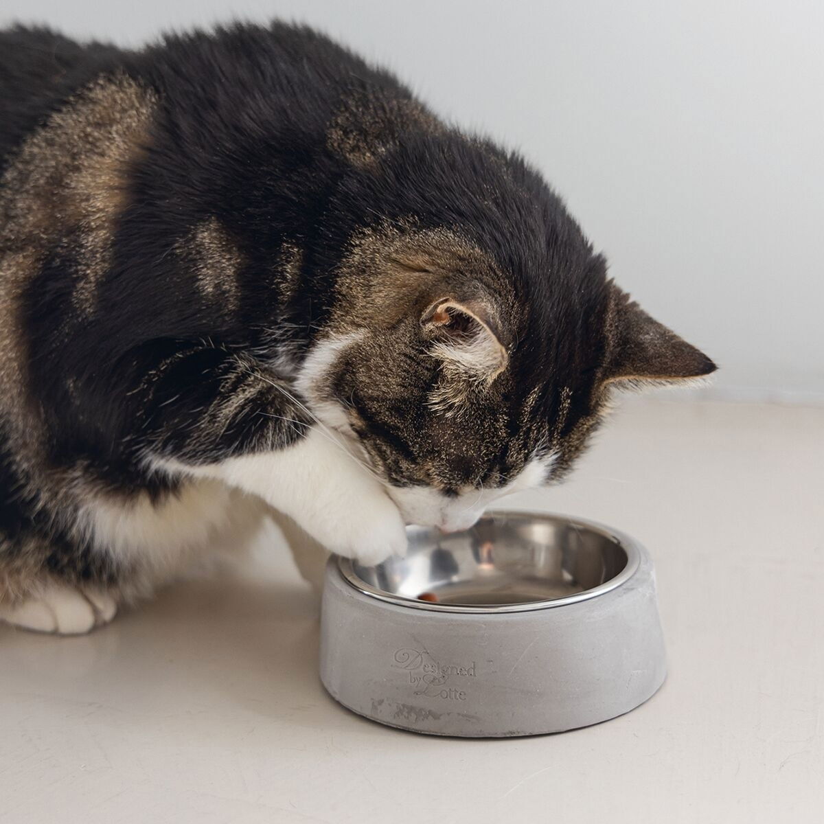 Designed by Lotte concrete cat  bowl ribocco