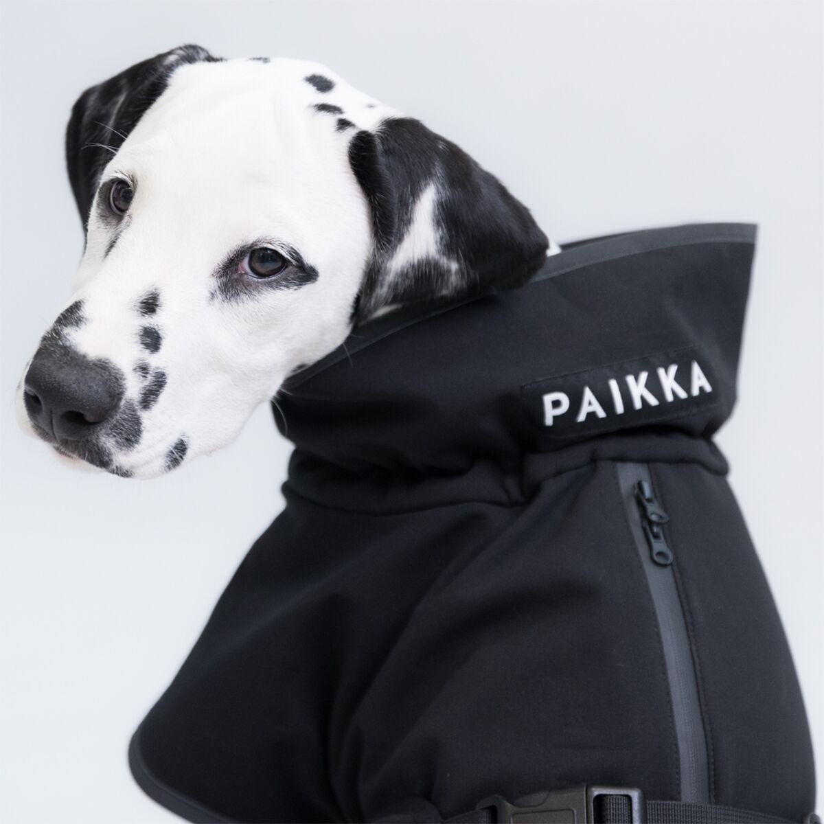 PAIKKA Recovery Softshell Jacket, black