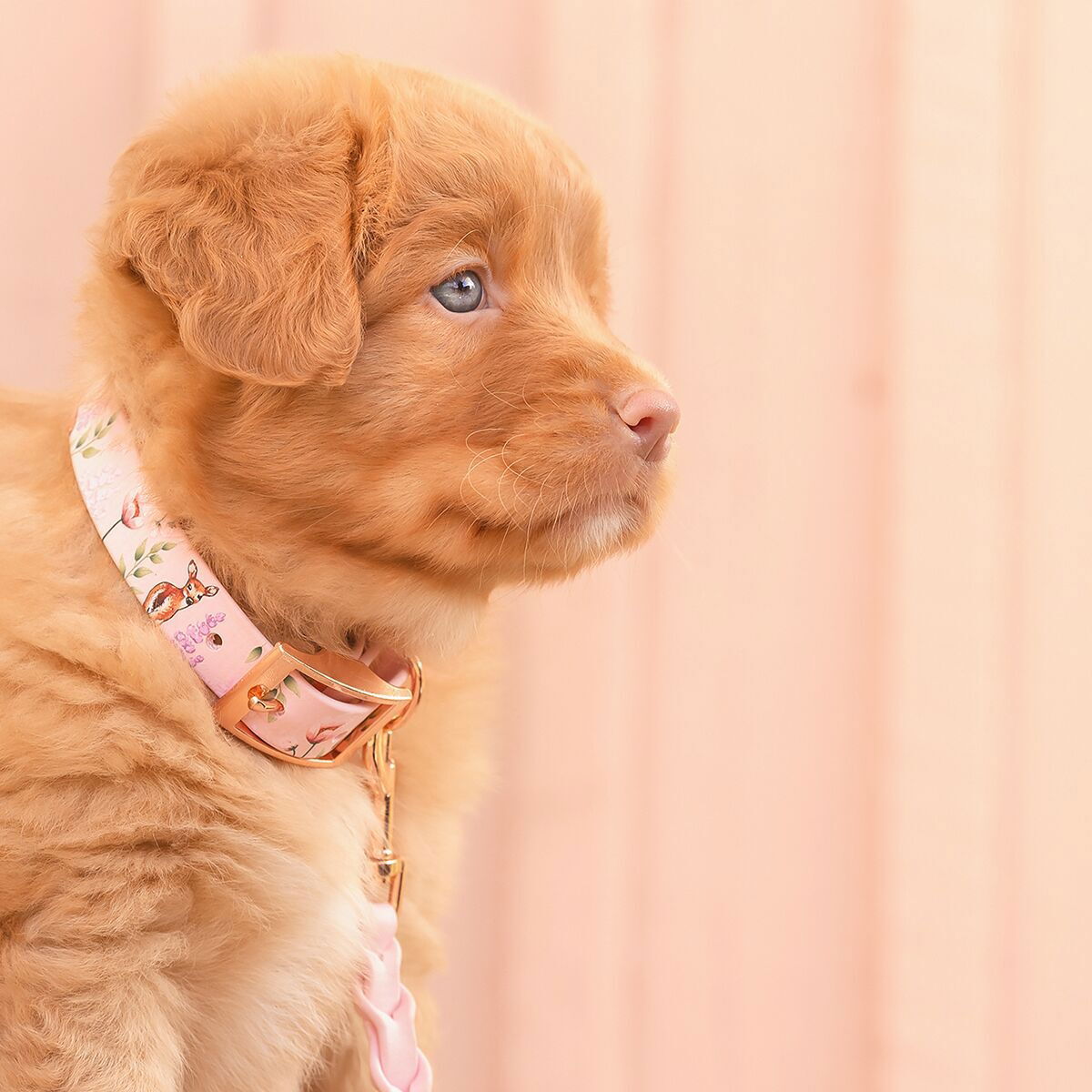 Tyylivoitto Unique collar Floral Fawns