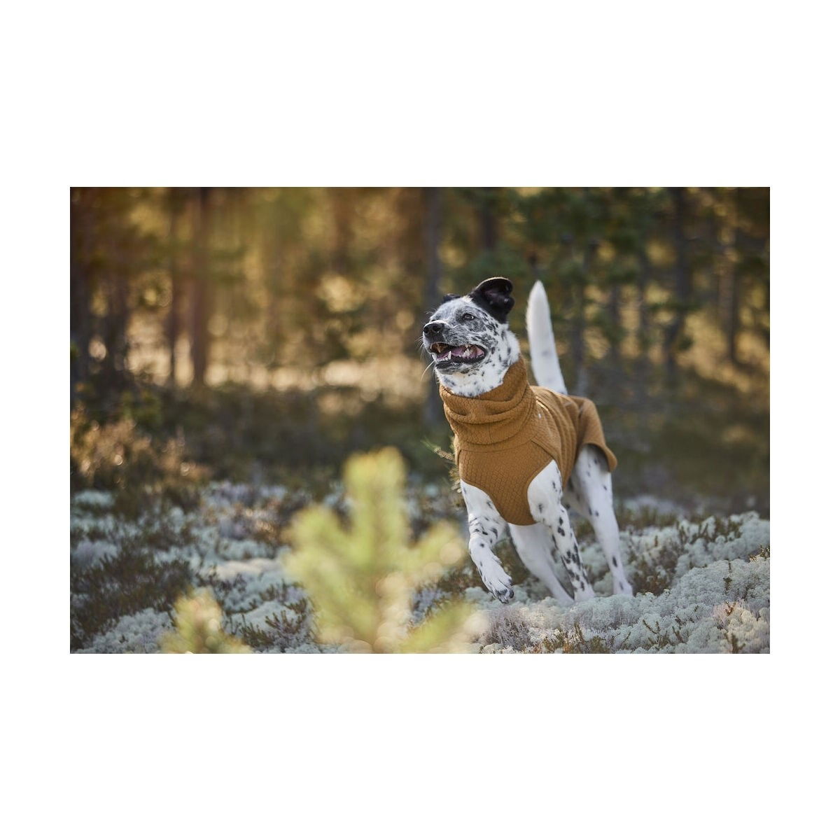 Hurtta Warming ECO väliasu aavikko