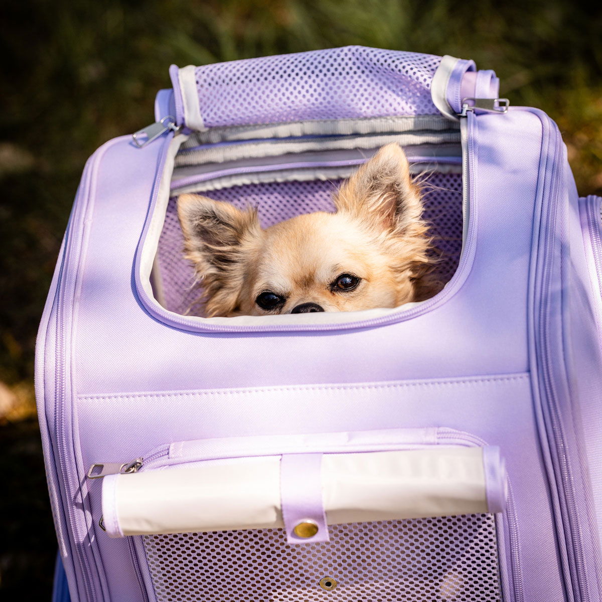 Feel Active kantoreppu laajennusosalla lavender