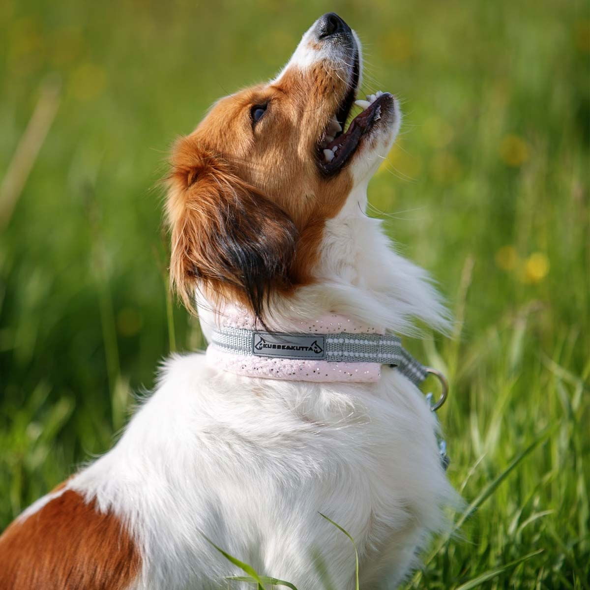 Kusse & Kutta half choke collar, sparkle lightpink