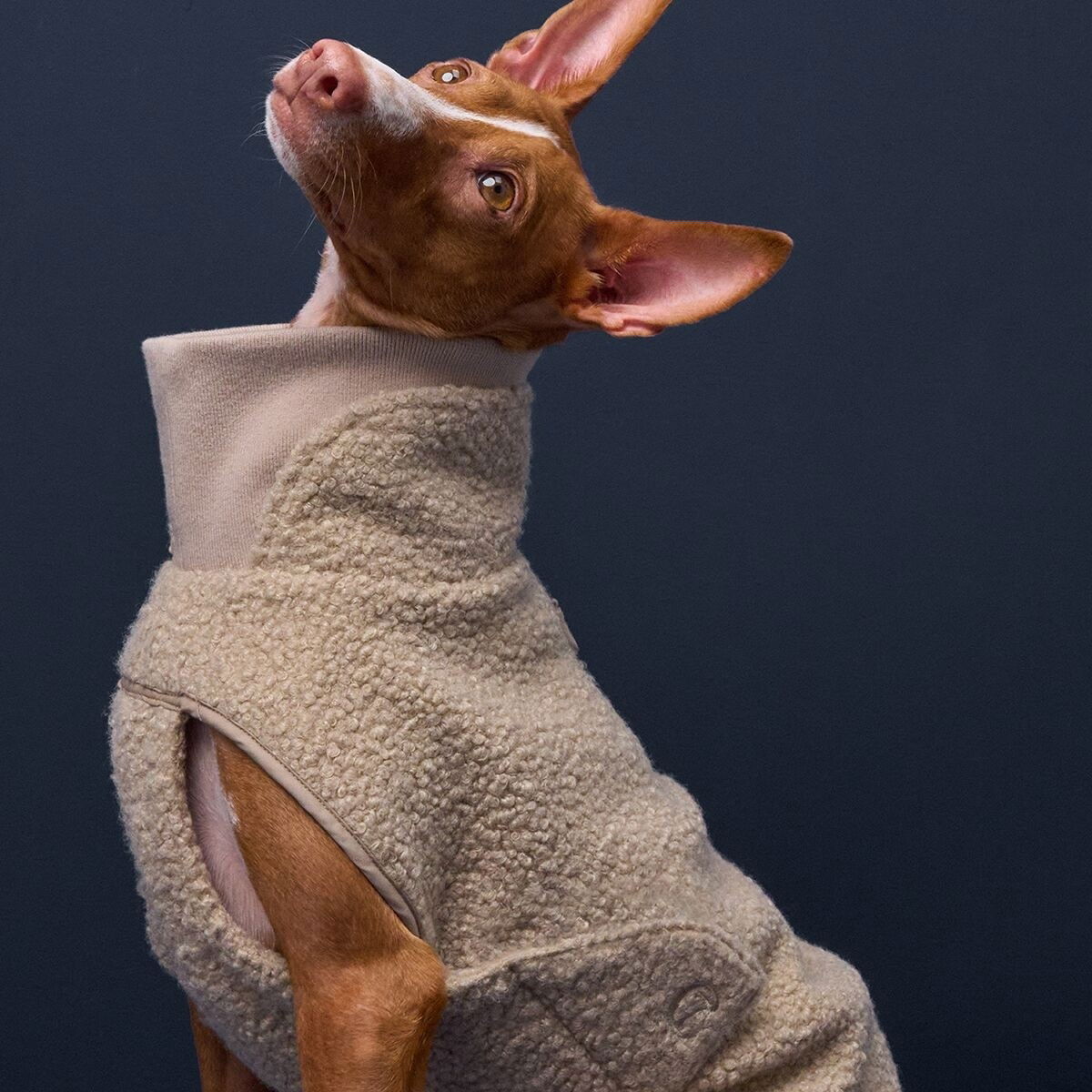 Cloud7 Dog Sweater Gotland, Beige