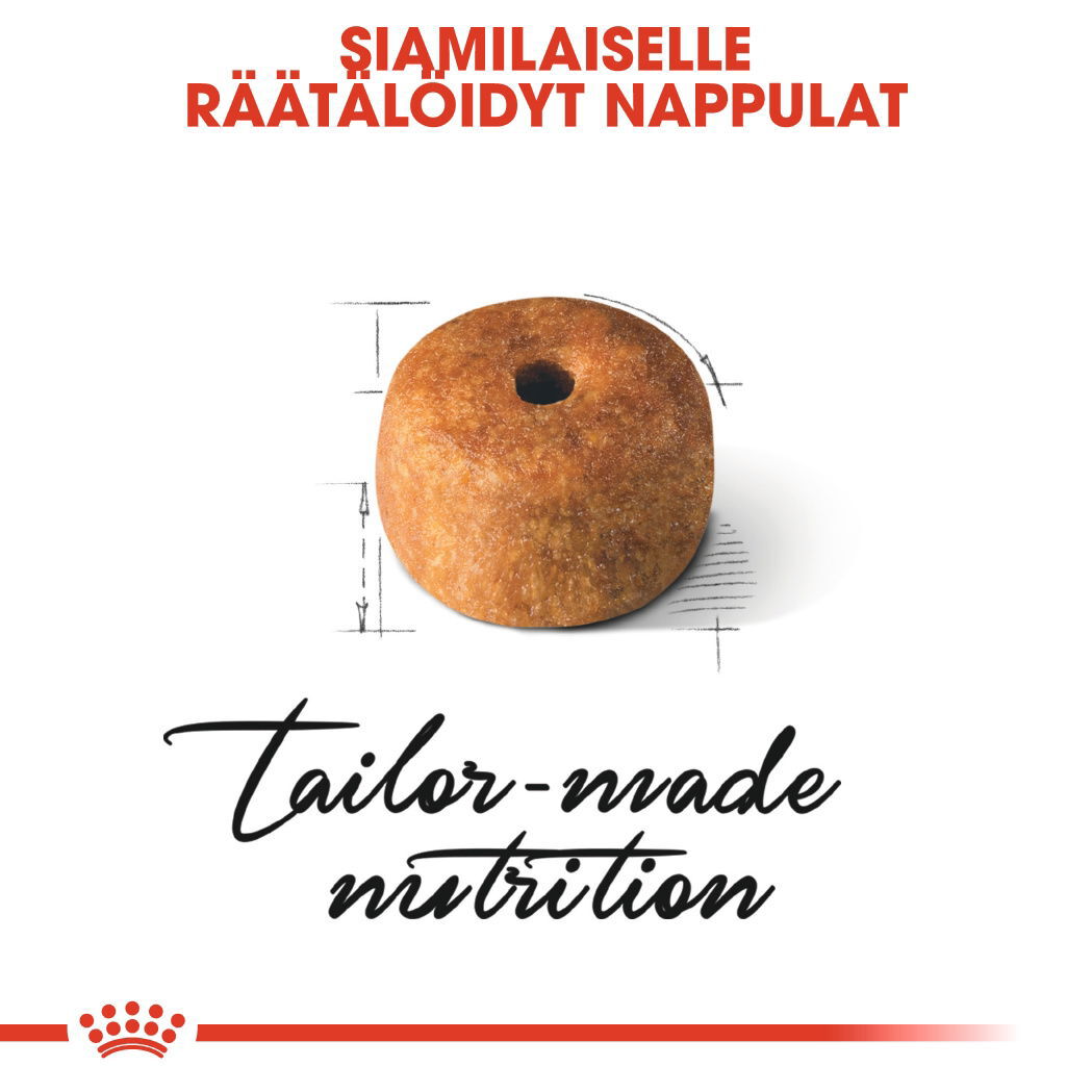 Royal Canin Siamese Adult kissan kuivaruoka