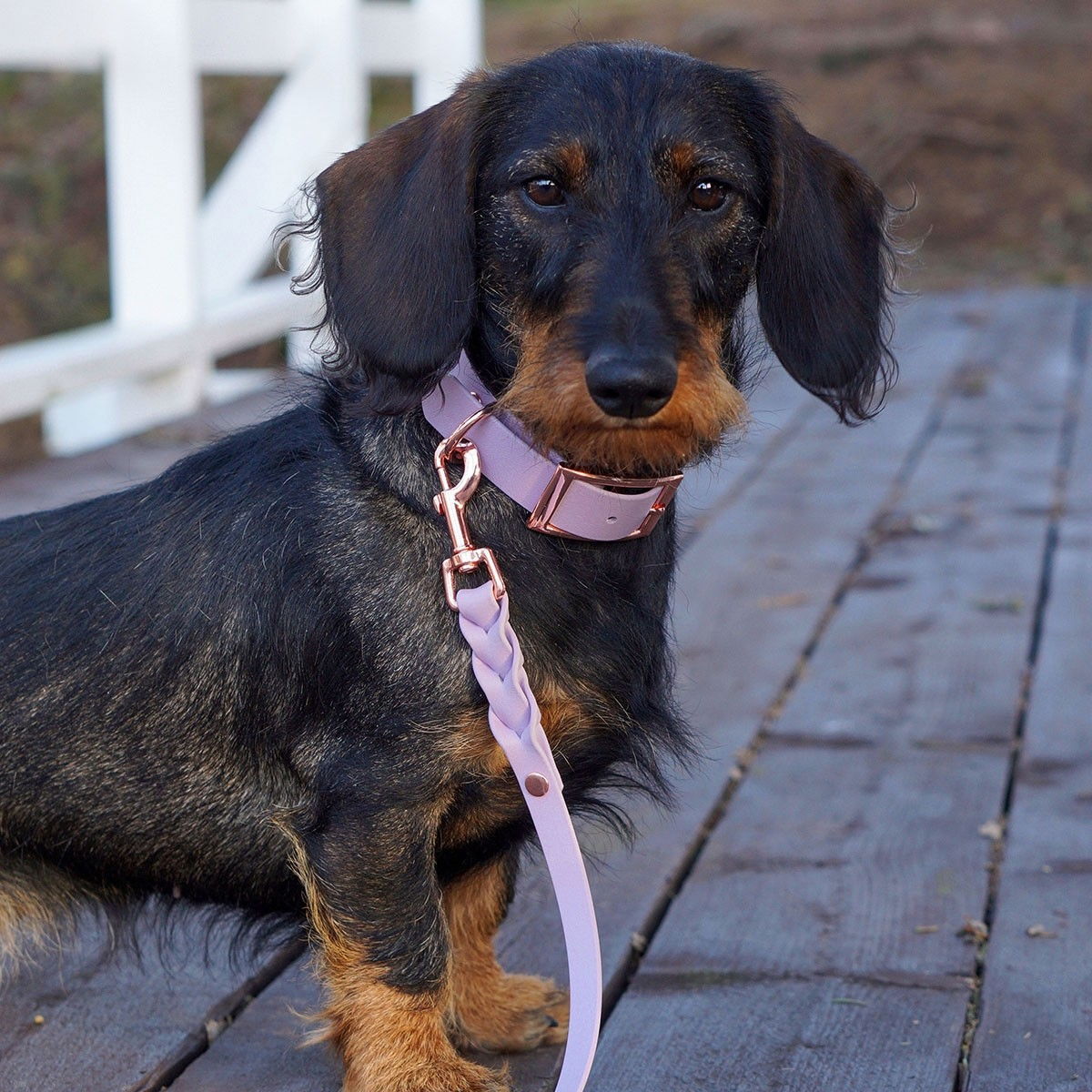 Tyylivoitto Braid hihna laventeli/ruusukulta