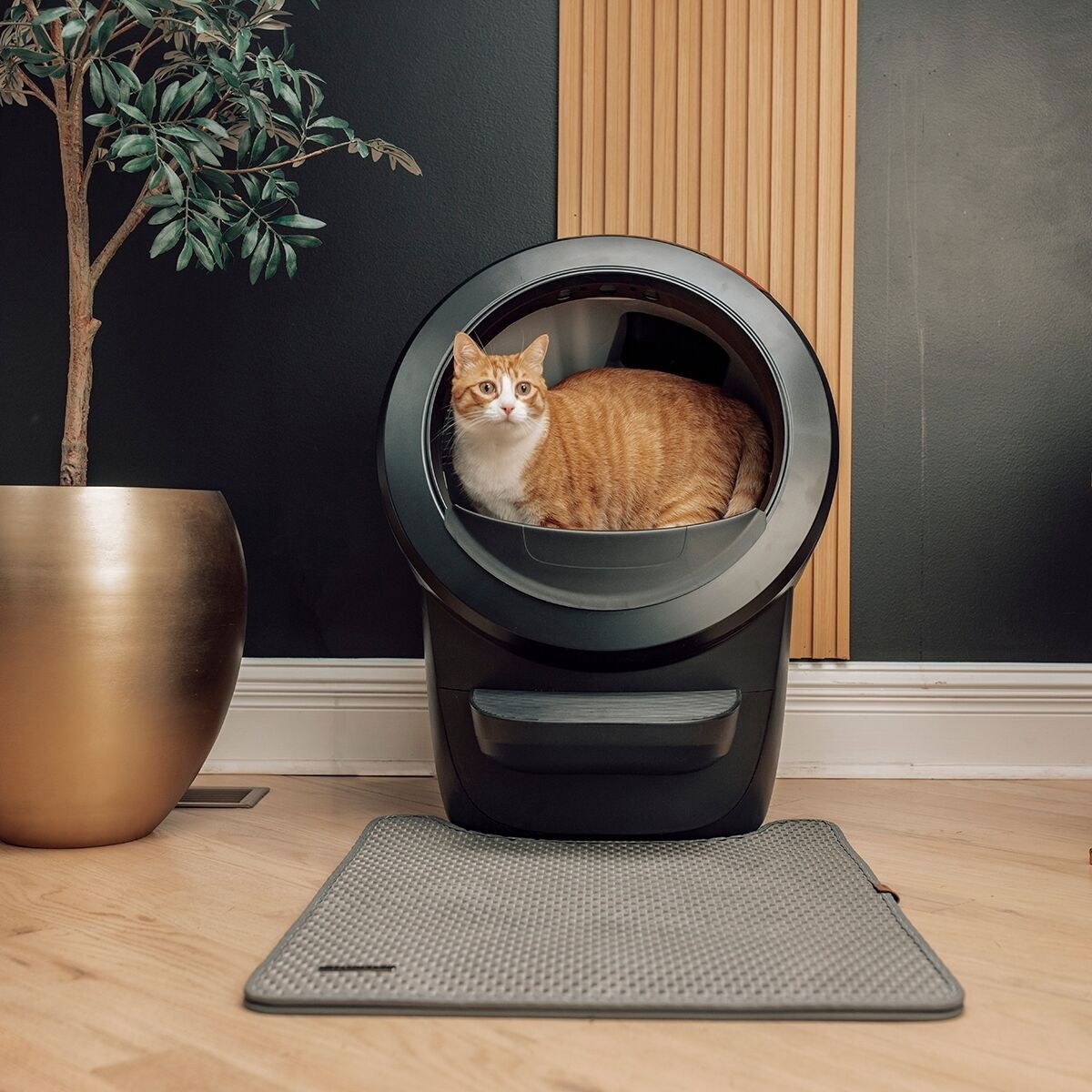 Whisker Litter-Robot 4, black
