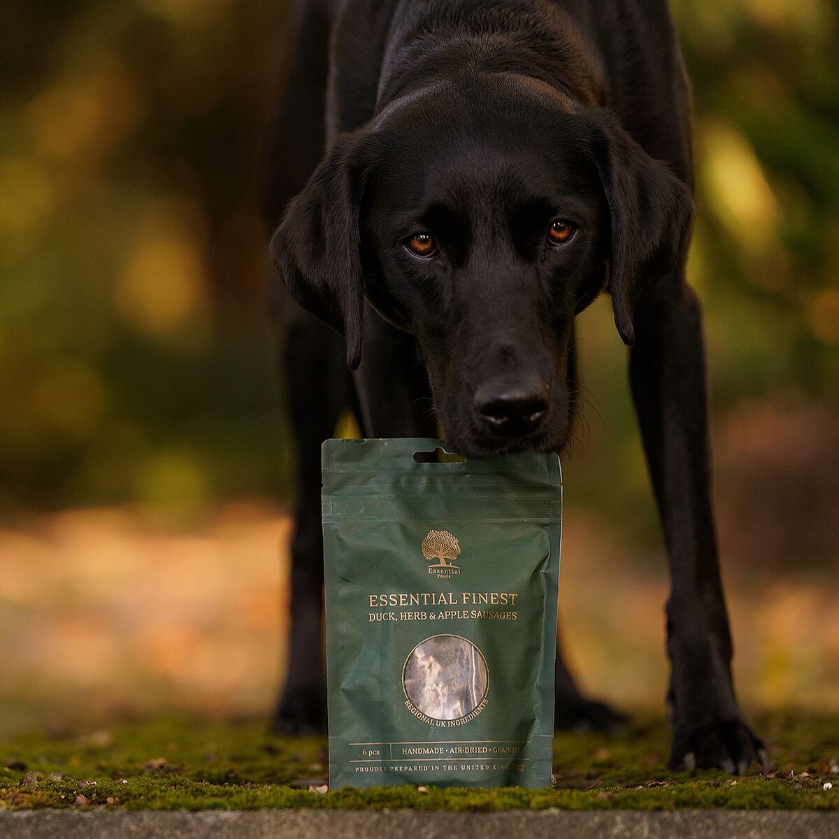 ESSENTIAL Duck,Herb&Apple Saus, 110g