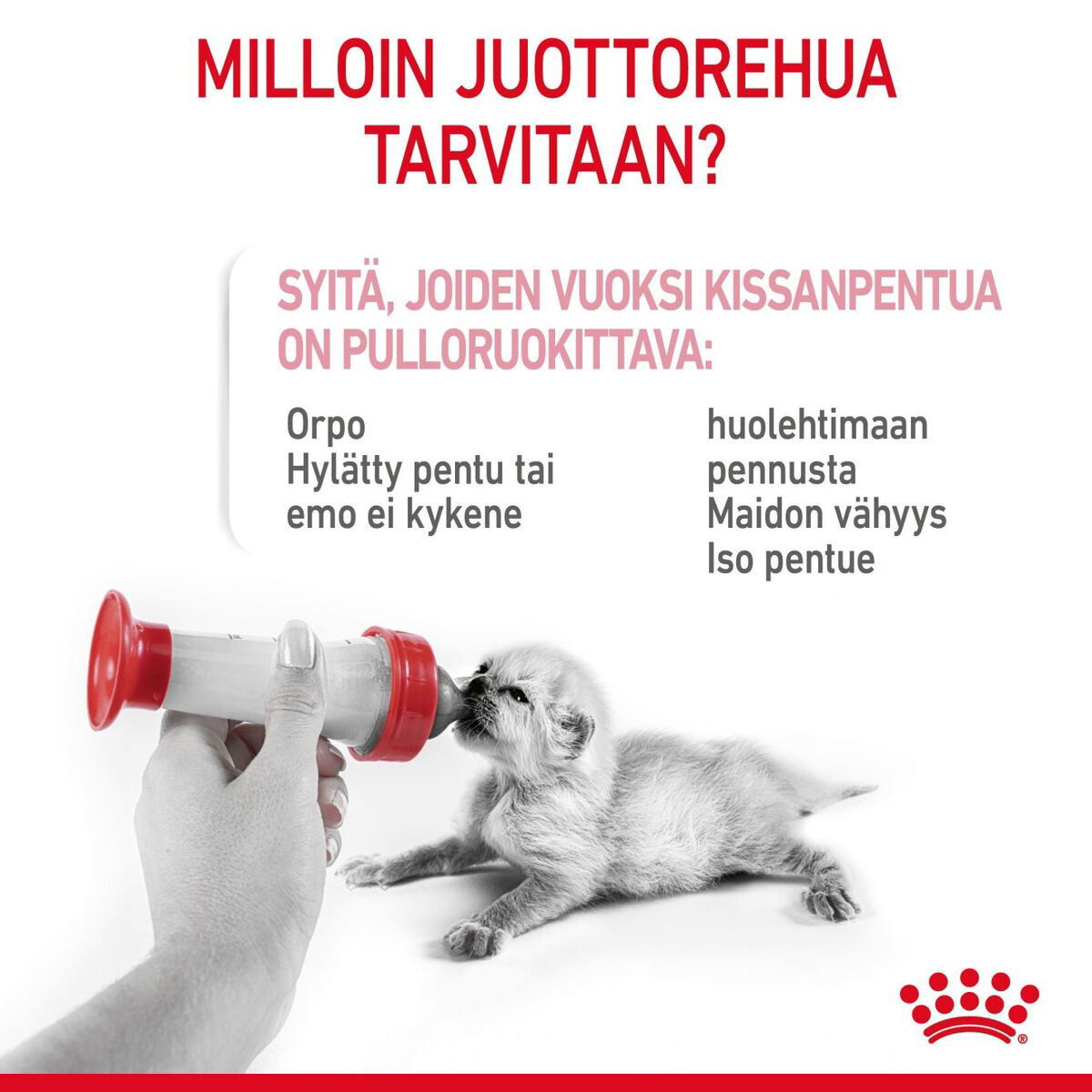 Royal Canin Babycat Milk maito kissanpennulle