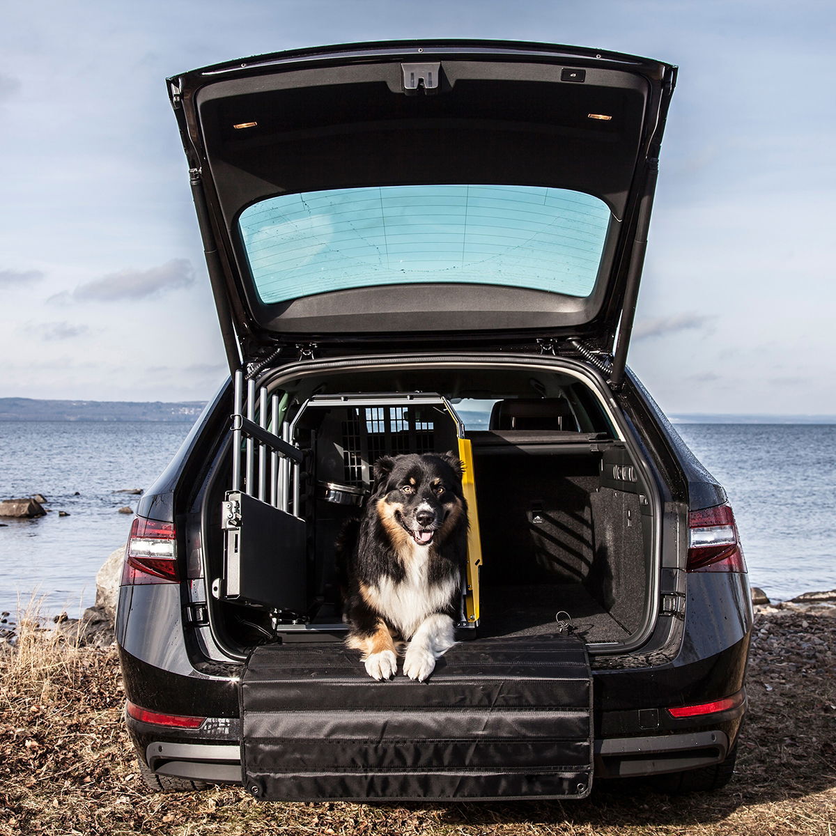 MIM Variocage Single 