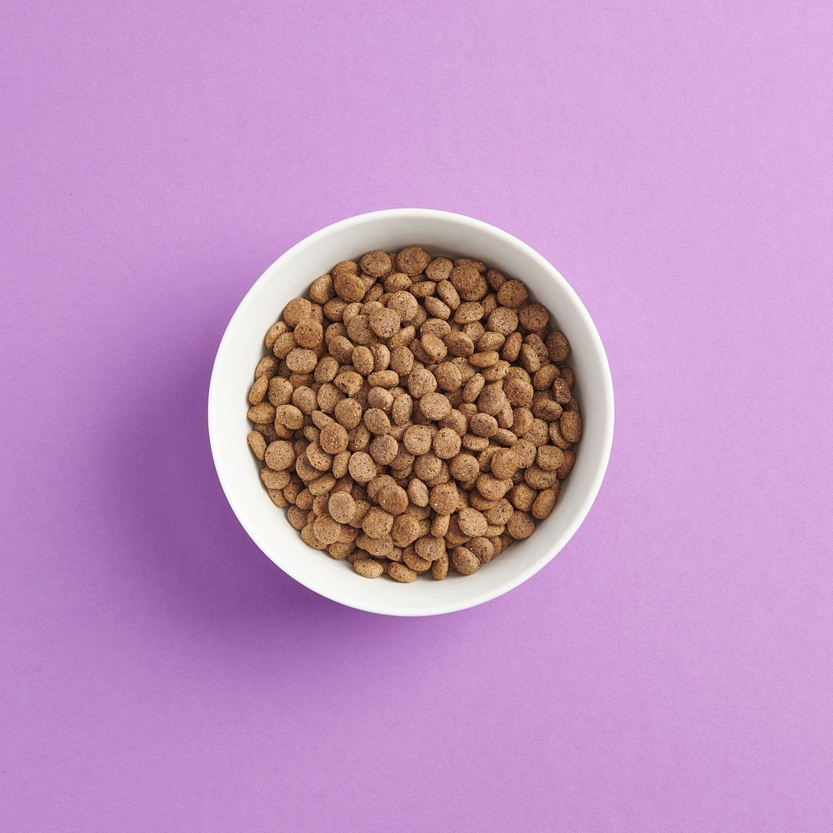 SMAAK viljaton kalkkuna & possu steriloidulle kissalle