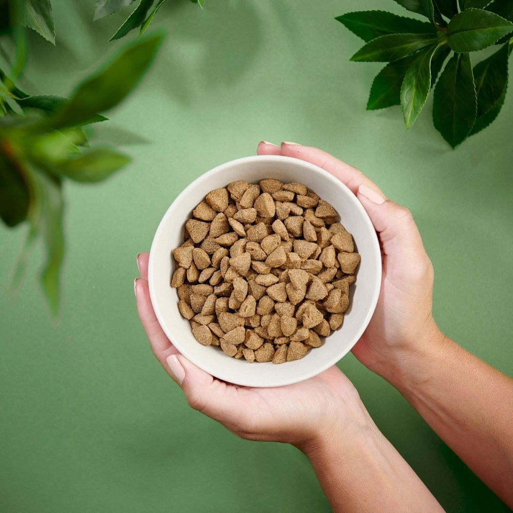 Purenatural Dog Sensitive Salmon