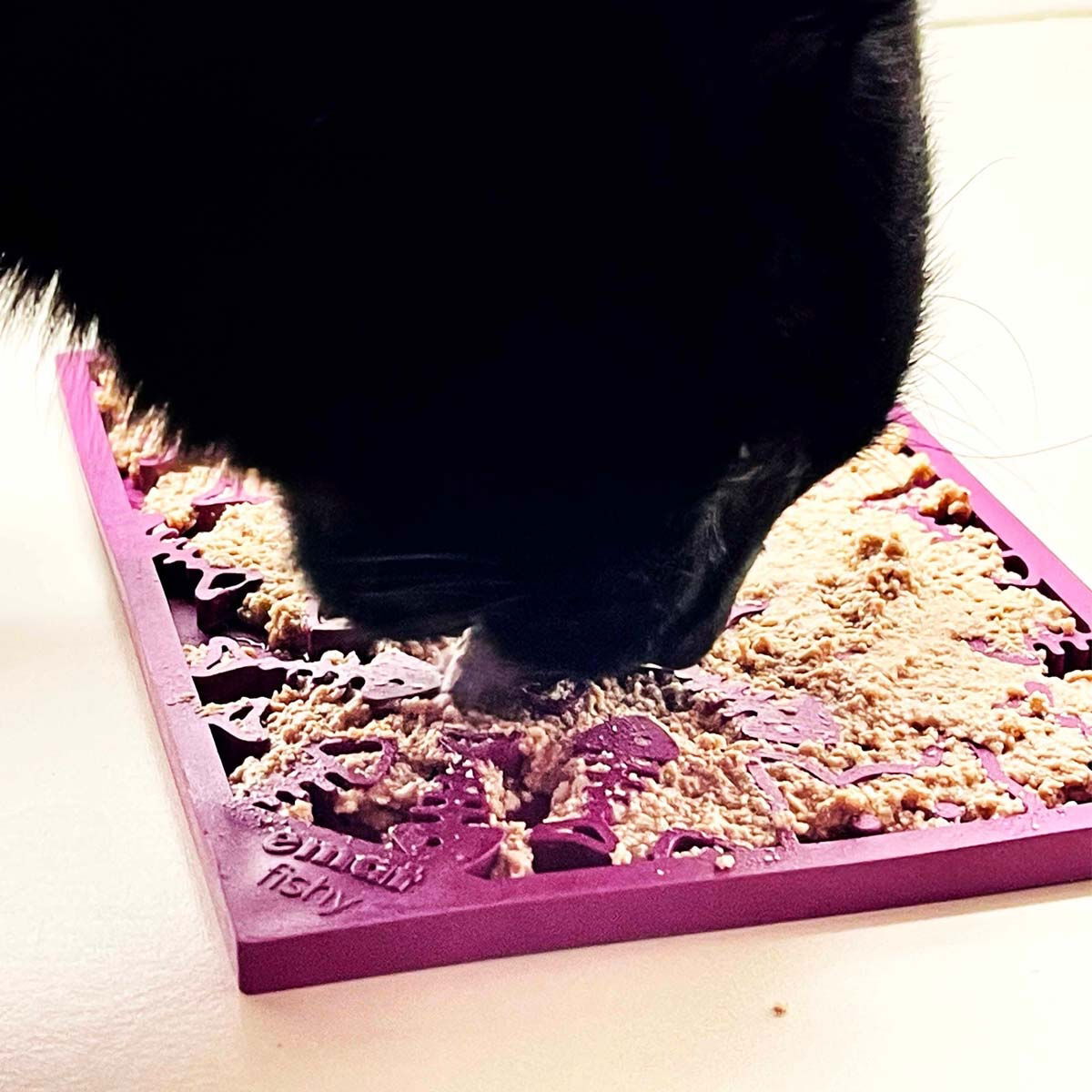 SodaPup Emat Fishy cat