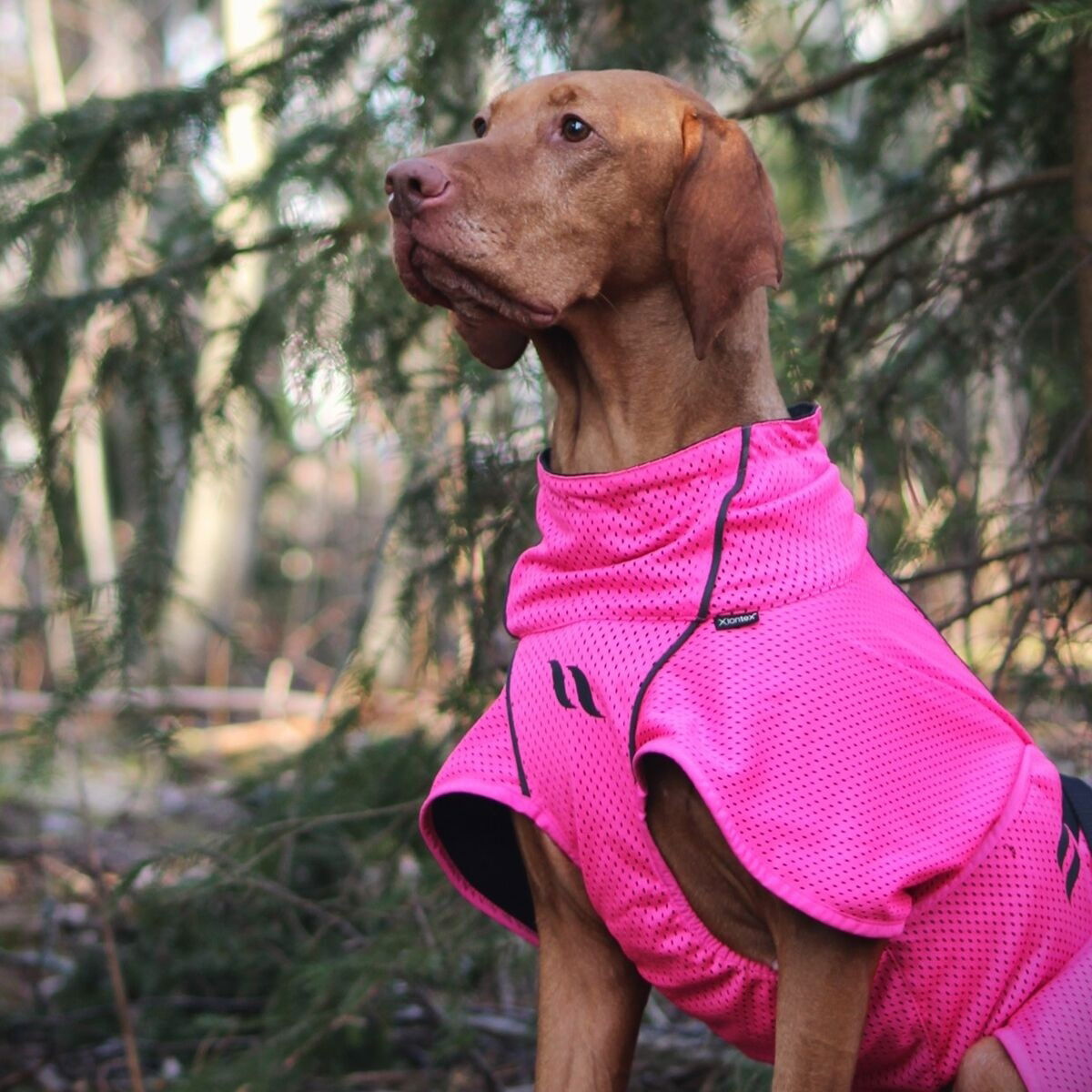 Back on Track Mesh jacket Limited Edition, Hot Pink