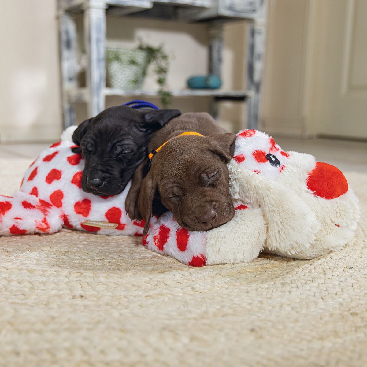 Beeztees Cuddle Toy Suki XL