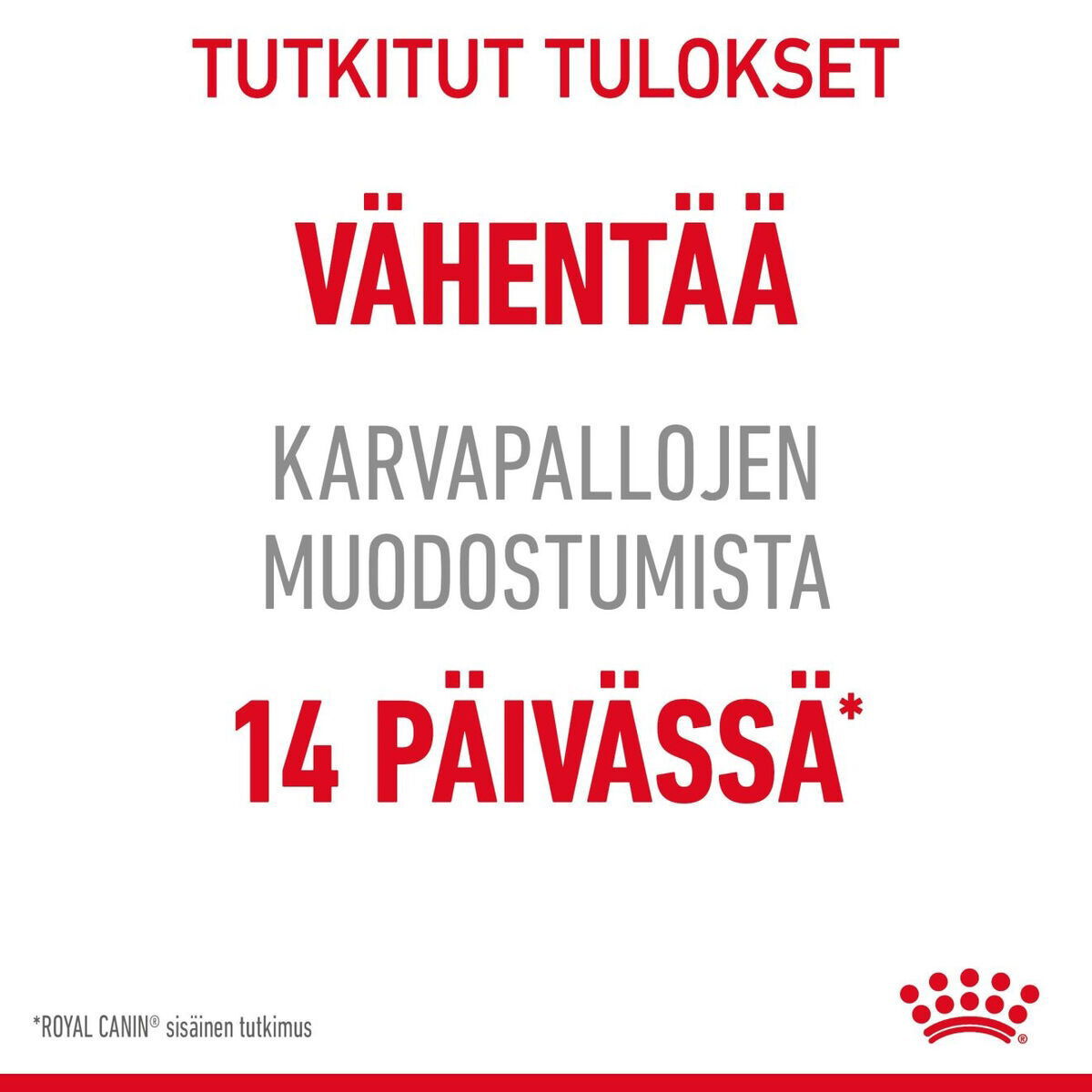 Royal Canin Hairball Care Gravy Adult kissan märkäruoka