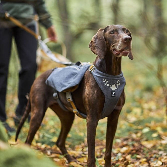 Hurtta Expedition Pack  valjas ECO harmaa