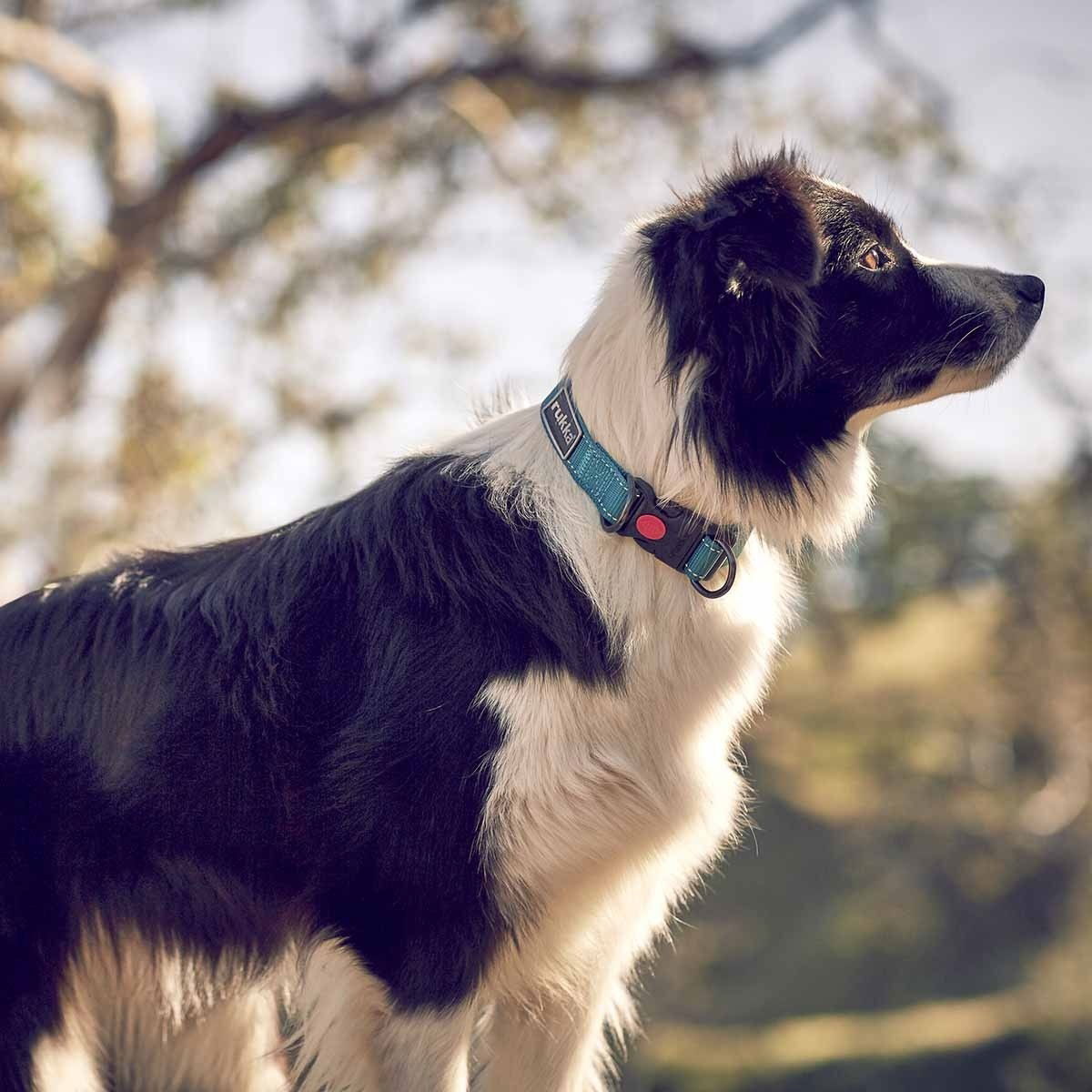 Rukka Bliss Polar panta turkoosi