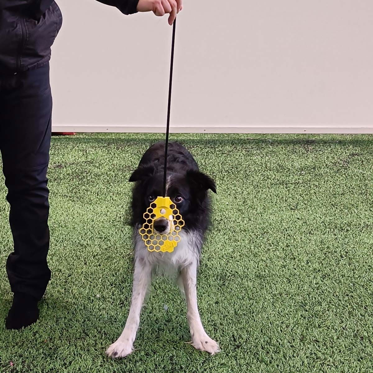 Loype Target Nosewand Yellow