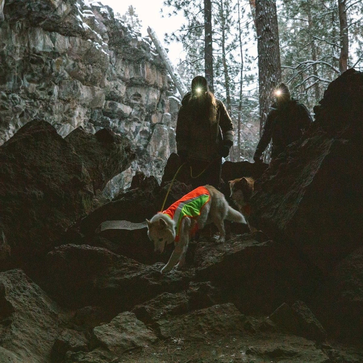 Ruffwear Lumenglow High-Vis takki oranssi