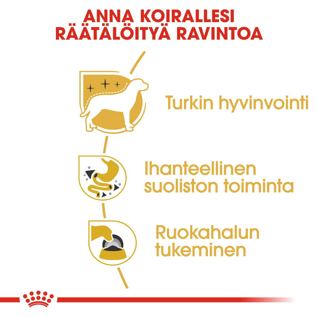 Royal Canin Chihuahua Adult Loaf koiran märkäruoka