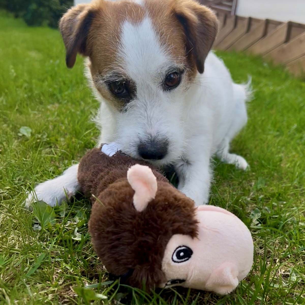 Party Pets Monkey stick 28cm