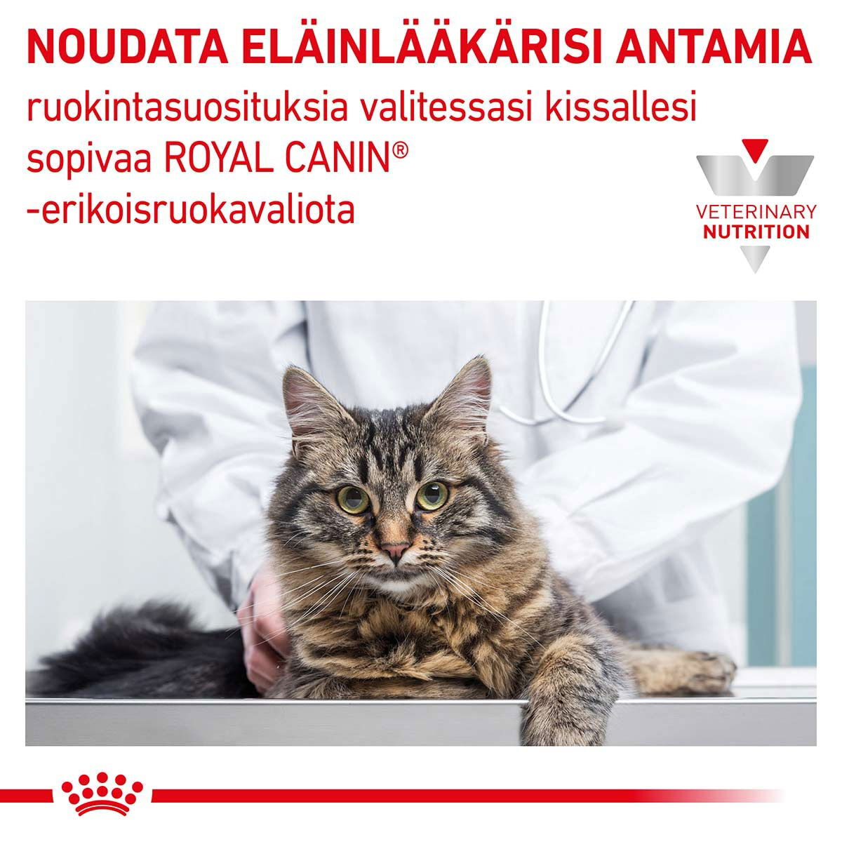 Royal Canin Veterinary Diets Gastrointestinal Hairball kissan kuivaruoka