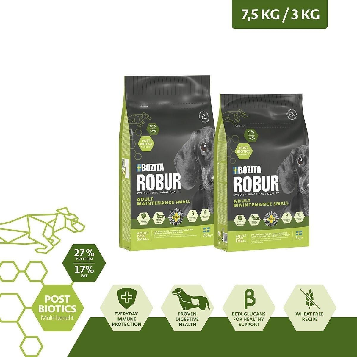 Robur Adult Maintenance Mini