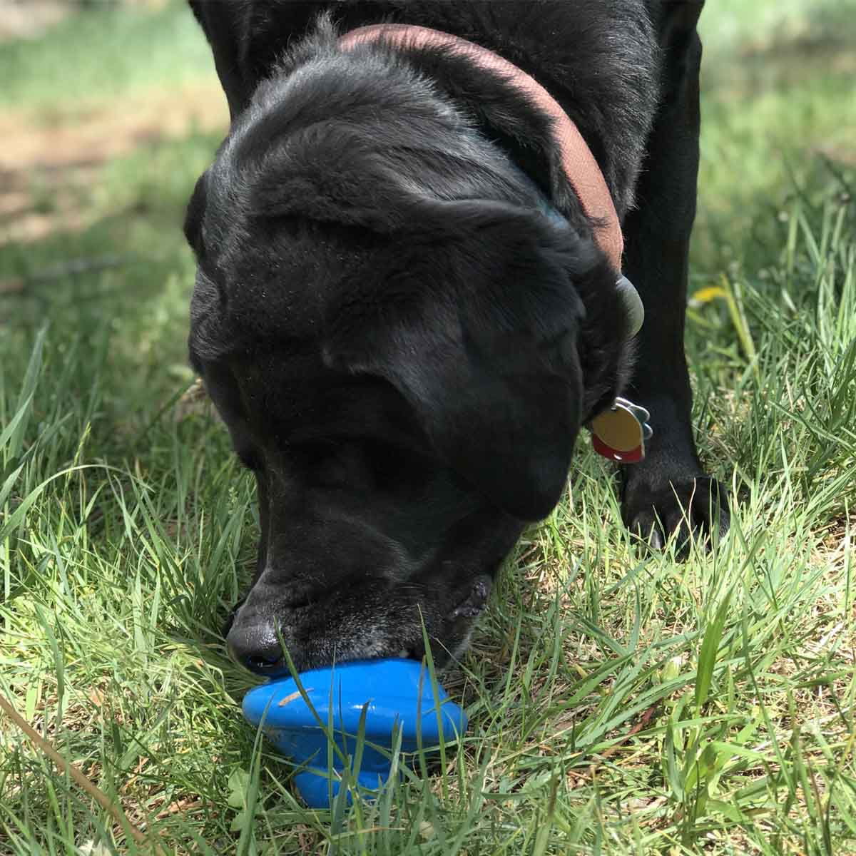 SodaPup Flying Saucer sininen