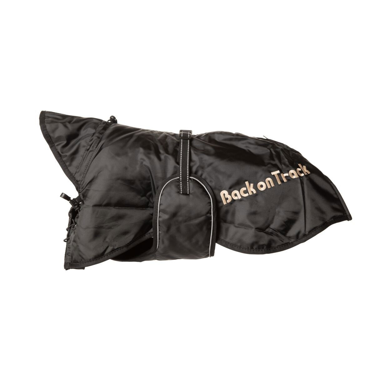 Koiranloimi Back on Track