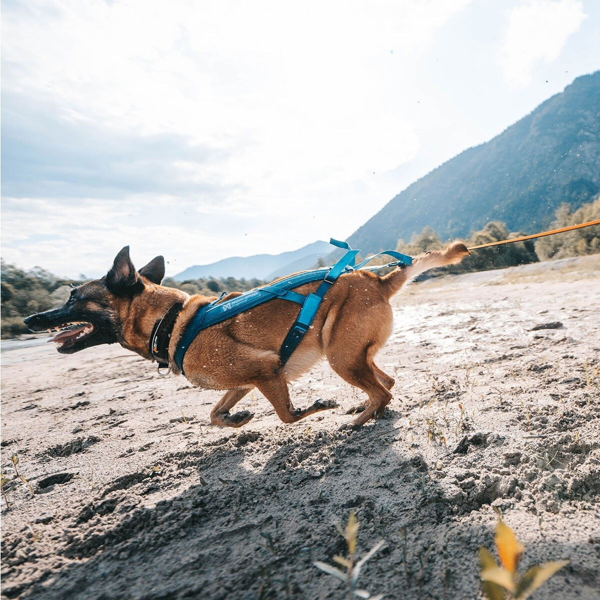 Non-Stop Freemotion harness 5.0, teal