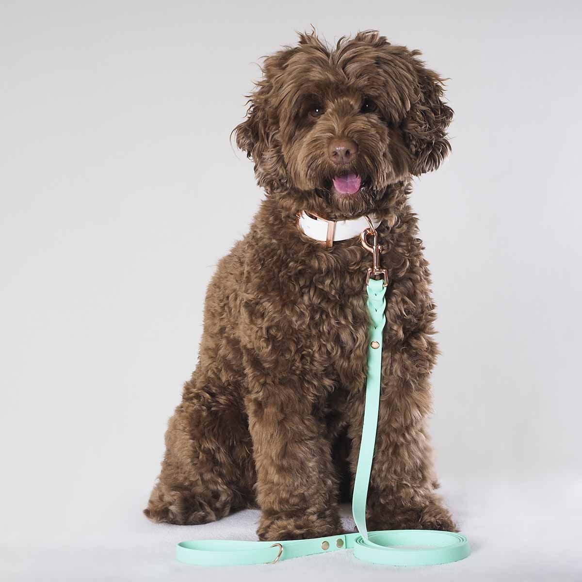 Tyylivoitto Braid hihna, minttu/ruusukulta