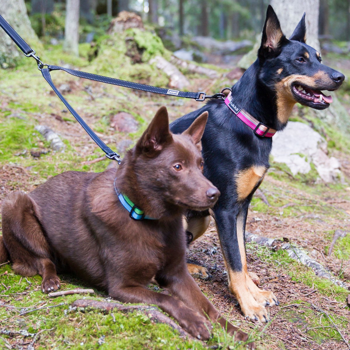 Rukka Bliss Polar jakaja musta