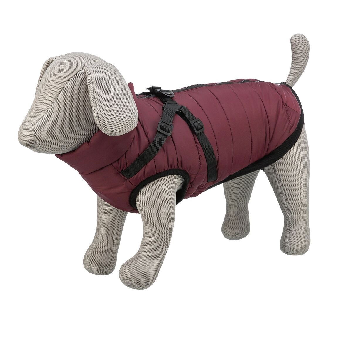 Trixie Pirou coat with harness, sangria