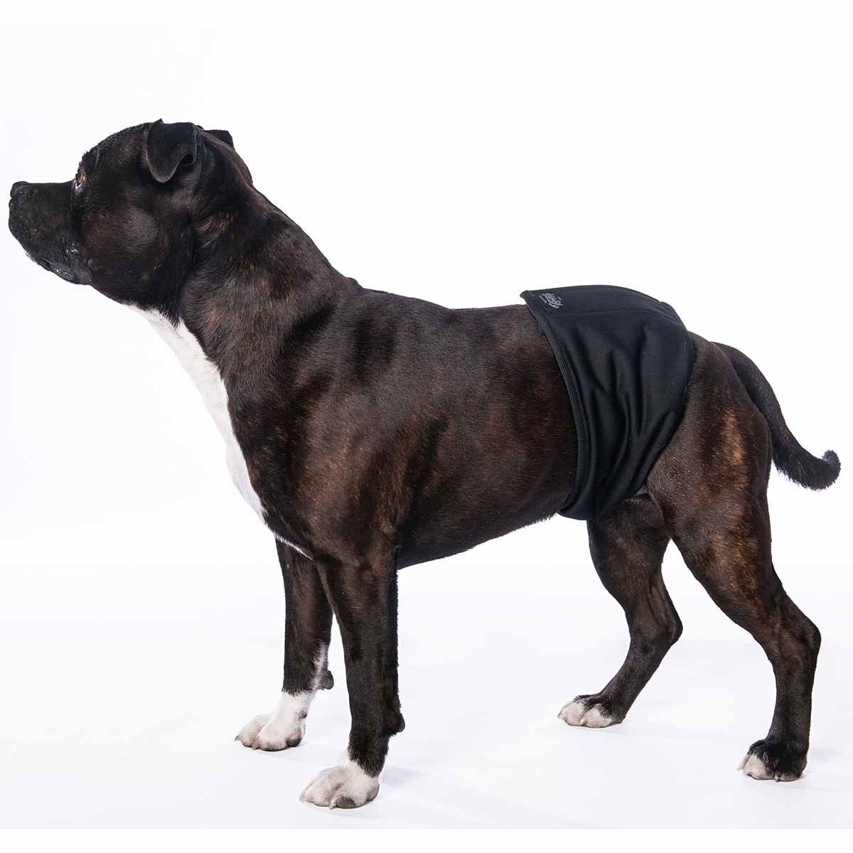 RuttuNuttu urosvyö, musta