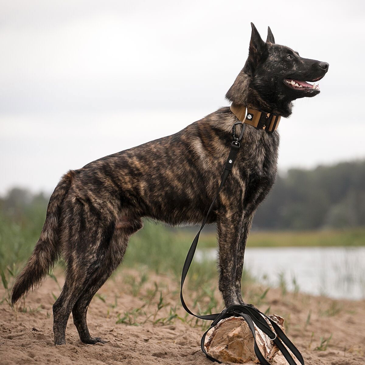 Salmiakkitassu Grip-hihna Twistlock-lukolla 250 cm