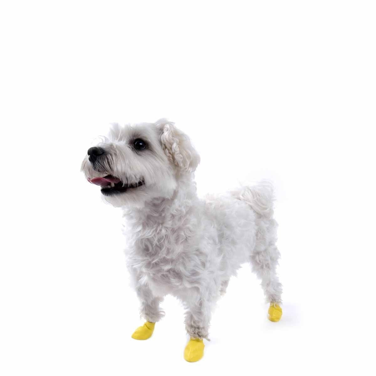 PawZ dog rubber boots color 12pcs