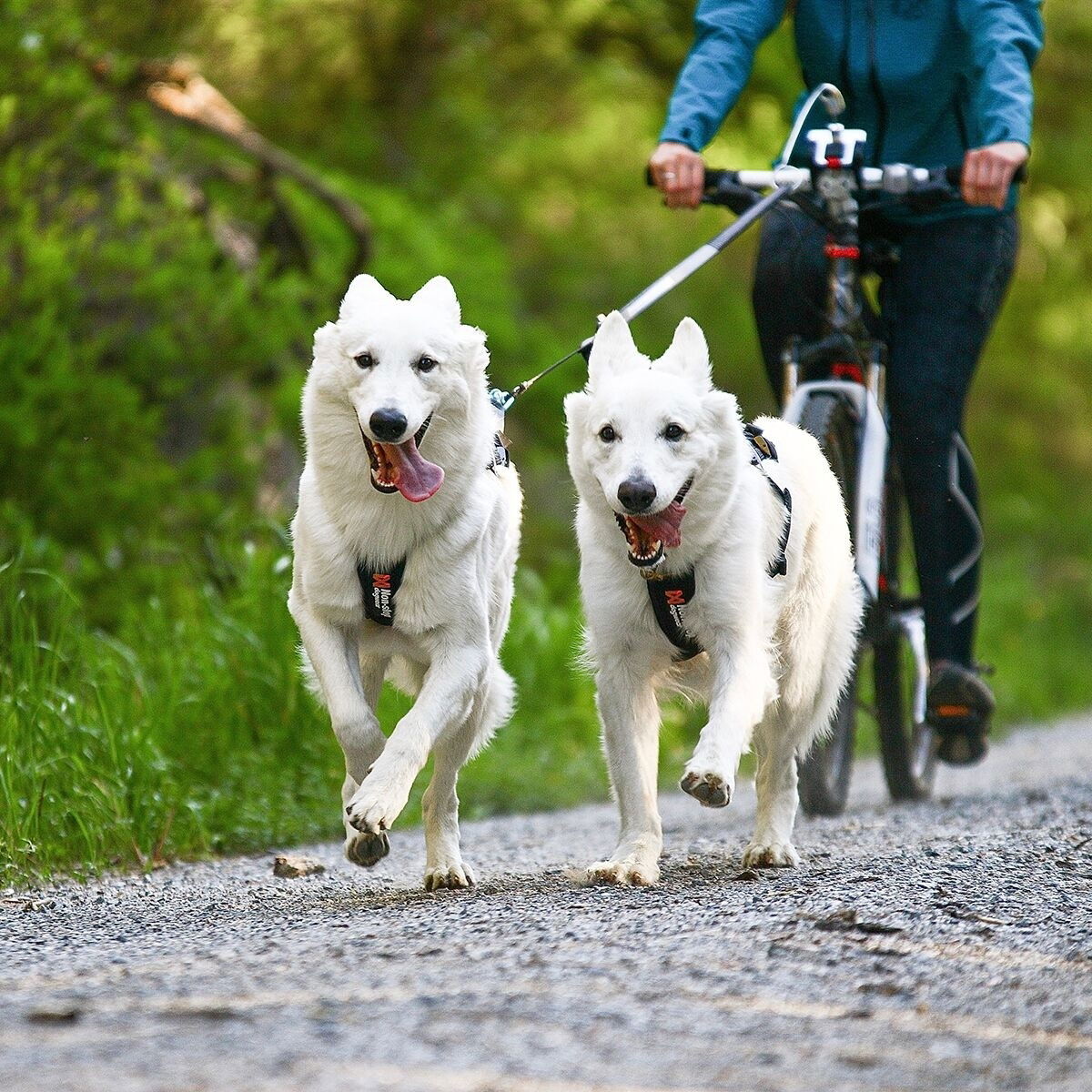 Non-stop Freemotion vetovaljas