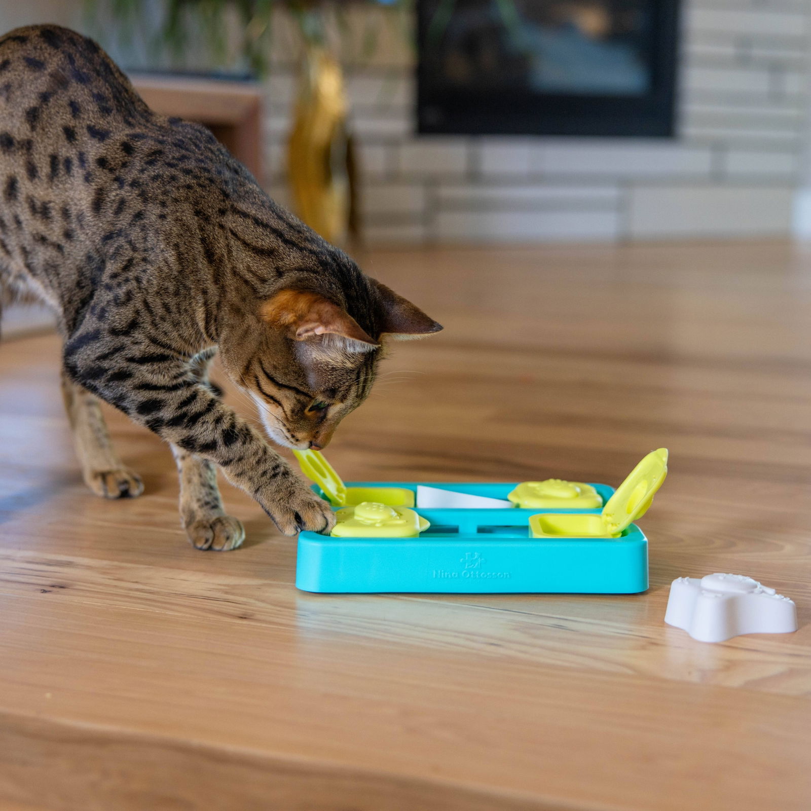 Nina Ottosson Catstages Kitty Cube aktivointipeli sininen