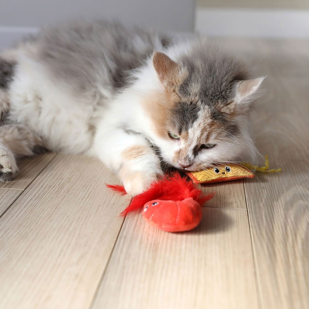 Quirky Kitty Send Noods Ramen