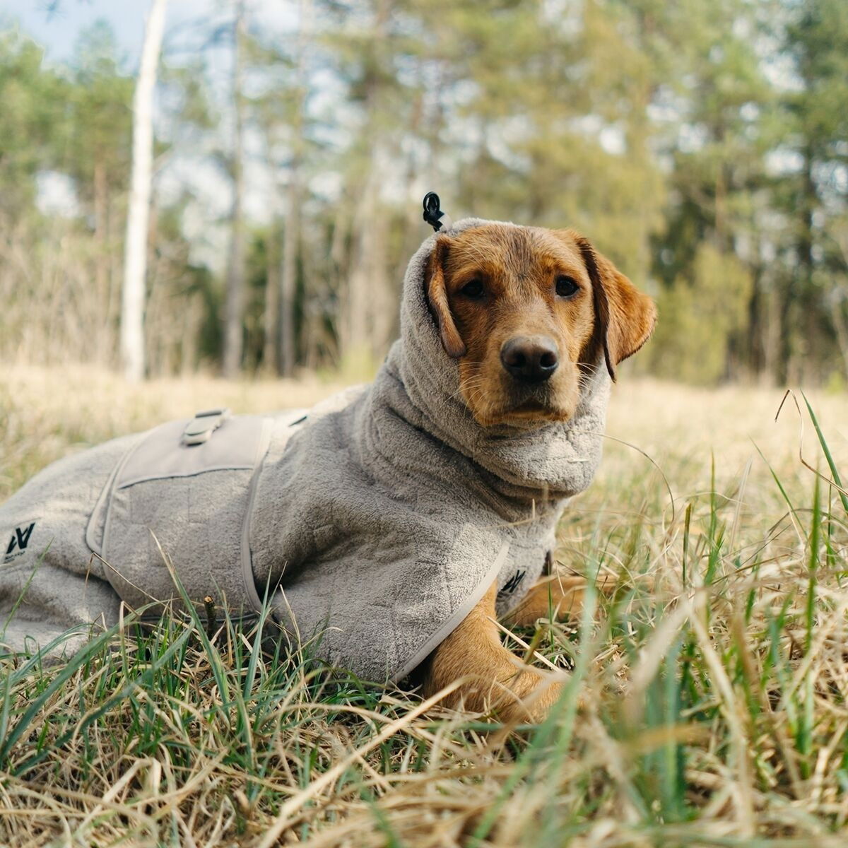 Non-stop dogwear Drying takki hiekka