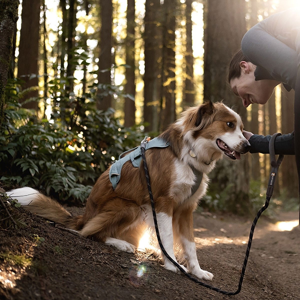Ruffwear Web Master valjas vihreä