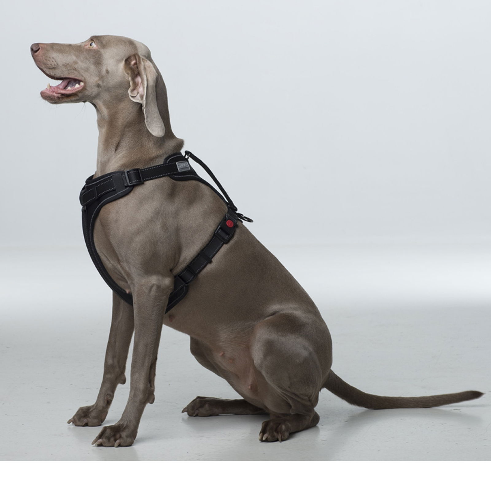 Rukka Solid valjas musta