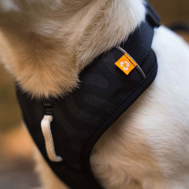 Woolly Wolf Roam Harness, Black Ripple